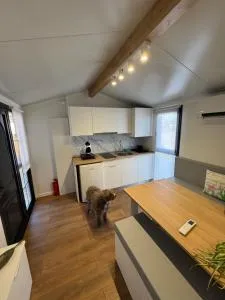 El Descanso de Eros - Fermoselle