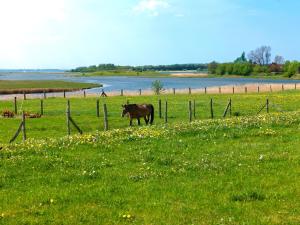 Haus Sonnenschein Sonnenwinkel
