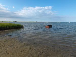 Gollwitzer Park Ostsee Harmonie