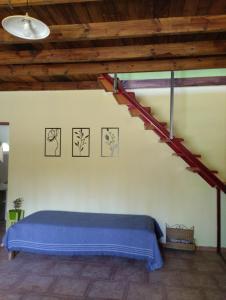 La Chacrita de Río Colorado