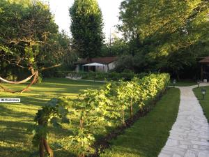 B&B / Chambres d'hotes L'Oree de Giverny : photos des chambres