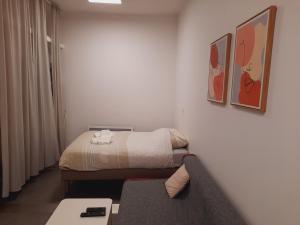 Grand studio au calme - Dijon centre