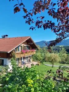 Wörle, Ferienhof - 哈尔布莱希