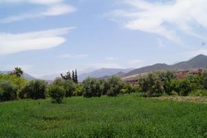 Ferme dhôtes Pouvoir des Plantes