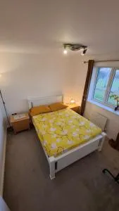 Pine tree House - 科尔切斯特