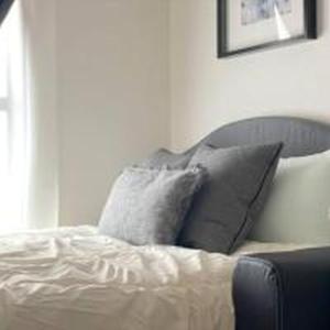 Confidence Ron 501 コンフィデンスロン 501