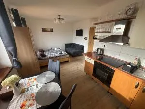 Apartmán LOSONCI Nesvady- pre 2 osoby štúdio - Imeľ