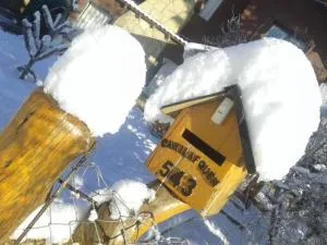 Cabañas Orillas del Chimehuín - Suite - Junín de los Andes