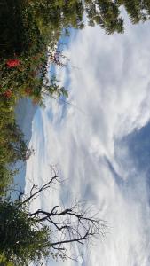 Astraal Resorts and Spa