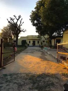 Pili kothi farms - Sarīma