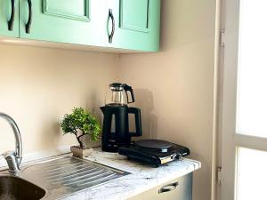 Historical Flat Close to İstiklal Avenue