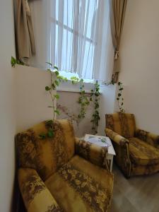 Apartmani, New Museum Kula