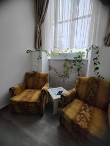 Apartmani, New Museum Kula