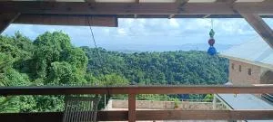 Petit coin de paradis - Case-Pilote