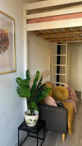 Appartements Marbeuf - Lao Immo : photos des chambres