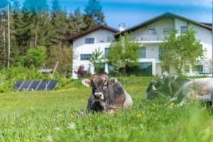 Haus Oberzöhr - Madonna di Petrelba