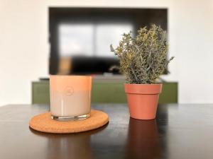 Appartements L-Ecrin de verdure - Calme - Parking Prive - Central - Neuf : photos des chambres