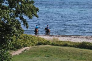 Ferienresidenz Haus Vogelflug Penthouse App 15