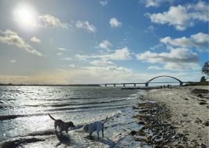 Ferienresidenz Haus Vogelflug Strandresidenz Vogelflug App 10