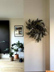 Experience Zaandam mills & Amsterdam city vibes - Unrated properties in Zaandam