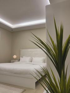 شقة غرفه وصالة الملقا