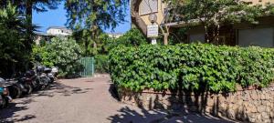 AMORE RENTALS - Appartamento Louise