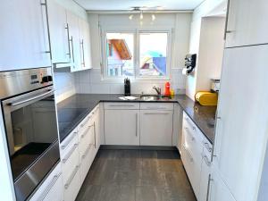 SwissHut Stunning Views Alps Lake - Apart. Innerdorf