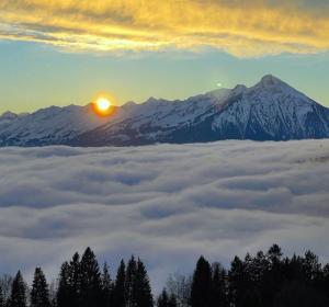 SwissHut Modern Chalet with Spa - Chalet Beunden