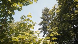 Campings Camping d-Aleth en foret de Broceliande : photos des chambres