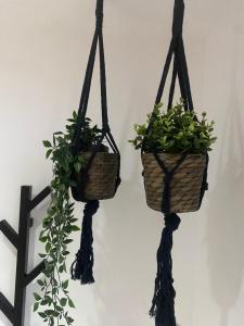 Sahara 3,5 Z Balkon Smart TV Küche WaMa