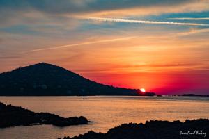 House with your feet in the water, between forest and beach - AGAY