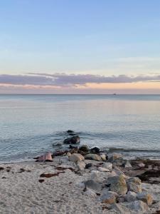 Haus Berlin Hamburg "Ankerplätzchen" im Haus Hamburg Nr 30