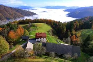 Healing Farm - Plužnje