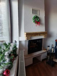 Apartments Holiday Home Srce