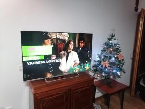 Apartments Holiday Home Srce