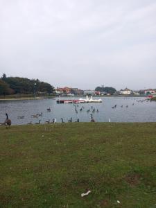 Cozy caravan in Mablethorpe