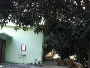 Corbett Green Orchard