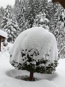 B&B / Chambres d'hotes L'Eden de Floridylle : photos des chambres