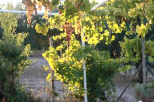 La Villa del Relax img30