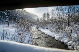 Ferienwohnung Scharfetter Anna