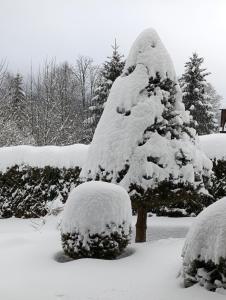 B&B / Chambres d'hotes L'Eden de Floridylle : photos des chambres
