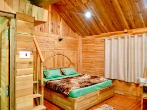 woodland duplex cottage 2 Jibhi