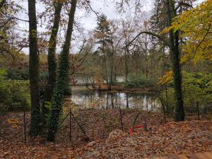 Campings Camping d-Aleth en foret de Broceliande : photos des chambres