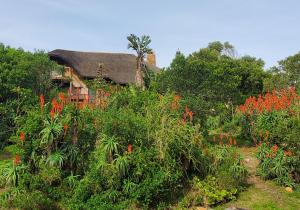 Oysterbay Nature Retreat