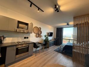 Modern studio apartment