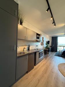 Modern studio apartment