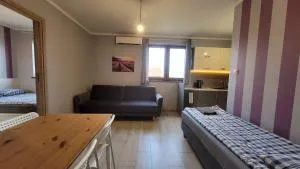 Wrzosowe Wzgórze Apartamenty - Zgórsko
