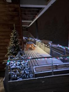 Appartements Meleze B *** plein Sud : photos des chambres