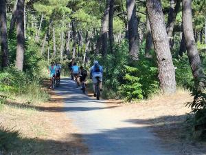Appartements Saint Palais sur Mer - ADORABLE VILLA en residence avec PISCINE COLLECTIVE : photos des chambres