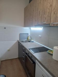 Apartman ANY